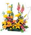 Celebrate in Style in McDonough GA Absolutely Flowers