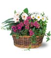 Traditional European Garden Basket in McDonough GA Absolutely Flowers