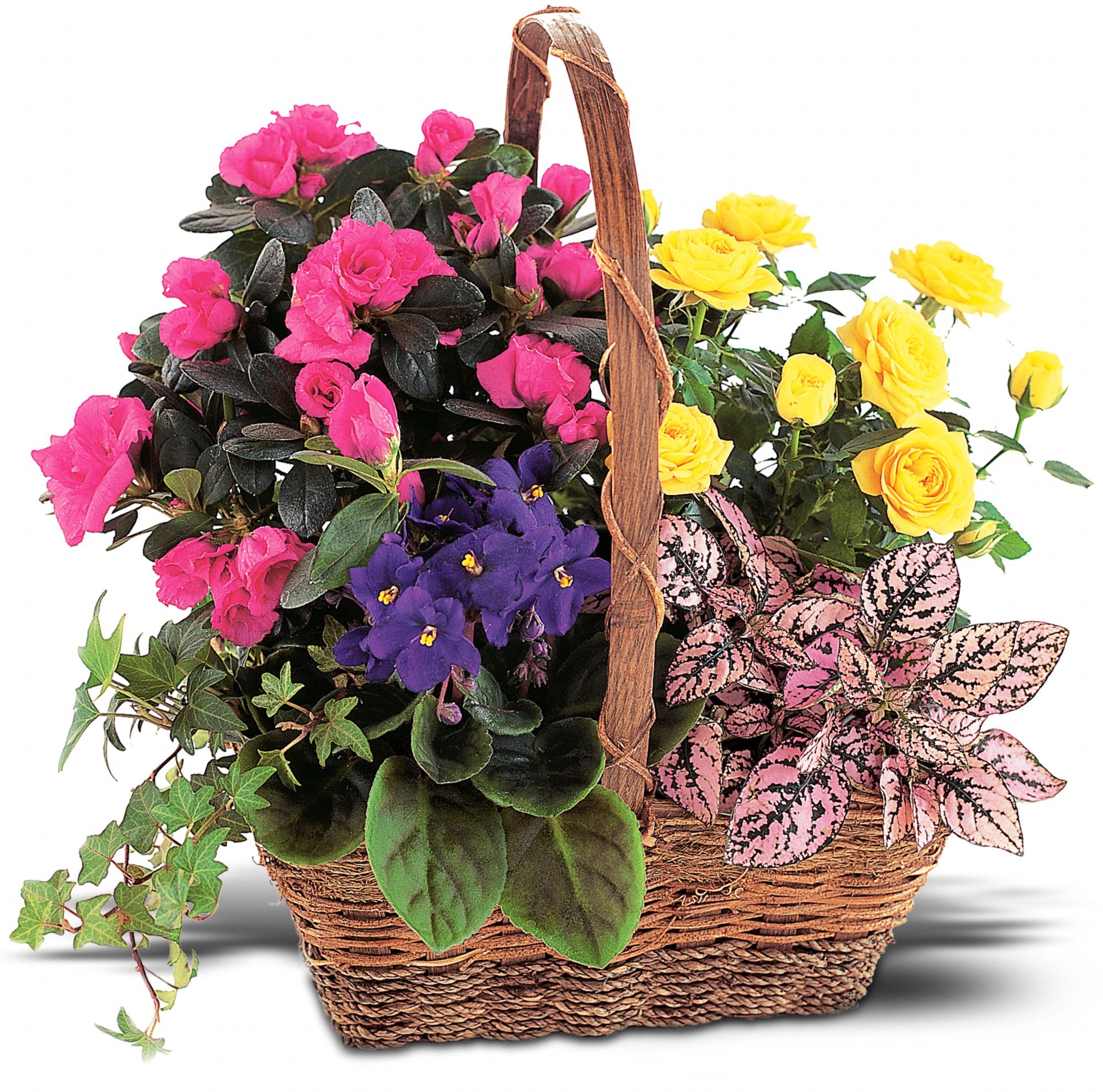 Blooming Garden Basket in McDonough GA Absolutely Flowers