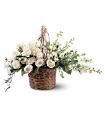 Basket of Light in McDonough GA Absolutely Flowers