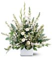 White Expressions Basket in McDonough GA Absolutely Flowers