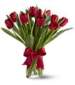 Teleflora's Radiantly Red Tulips in McDonough GA Absolutely Flowers