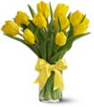 Teleflora's Sunny Yellow Tulips in McDonough GA Absolutely Flowers