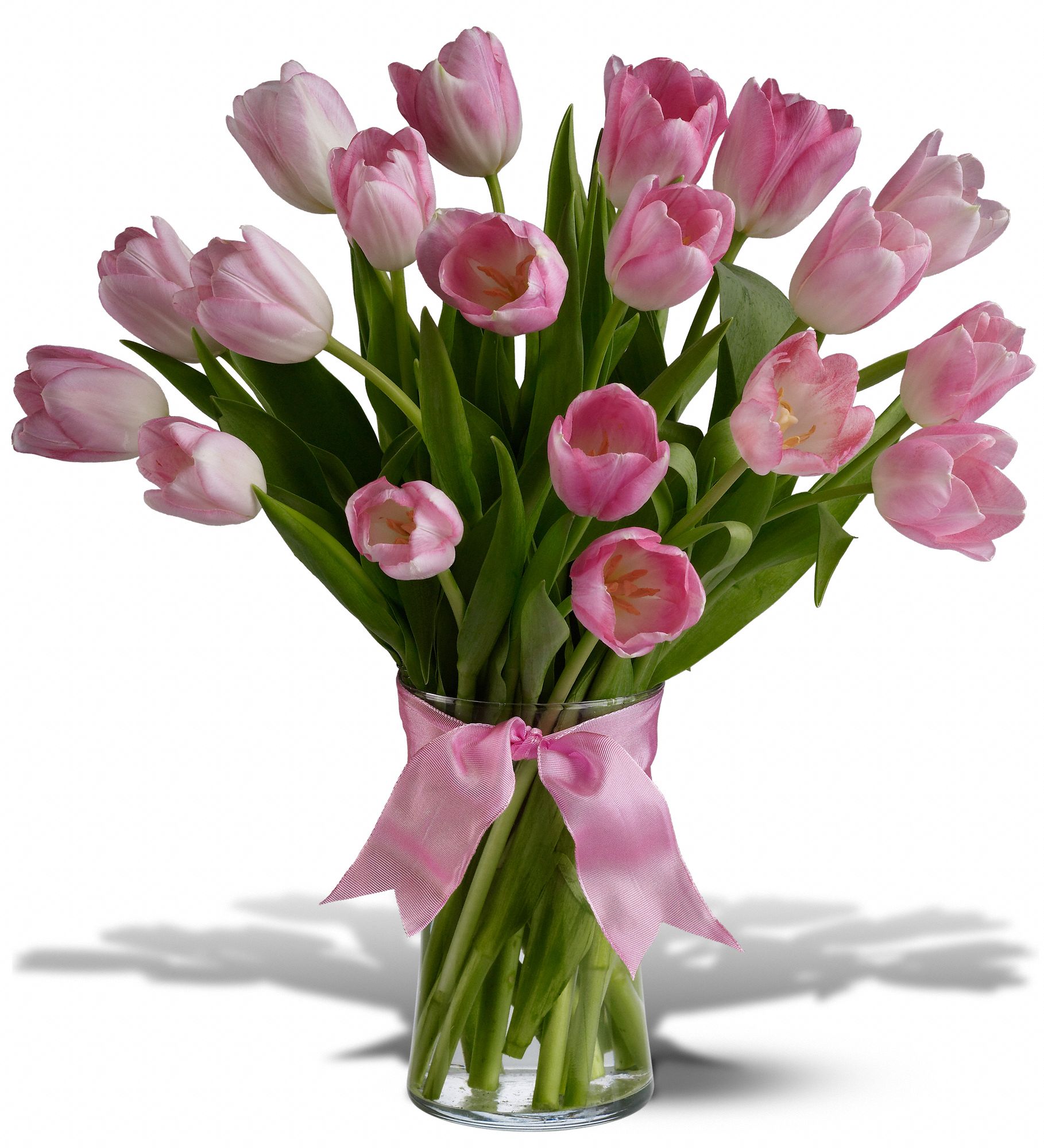 Precious Pink Tulips - Deluxe in McDonough GA Absolutely Flowers