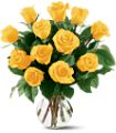 12 Yellow Roses in McDonough GA Absolutely Flowers