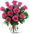 12 Hot Pink Roses in McDonough GA Absolutely Flowers
