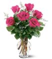 6 Hot Pink Roses in McDonough GA Absolutely Flowers