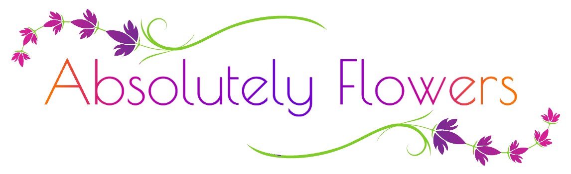 absolutely flowers logo