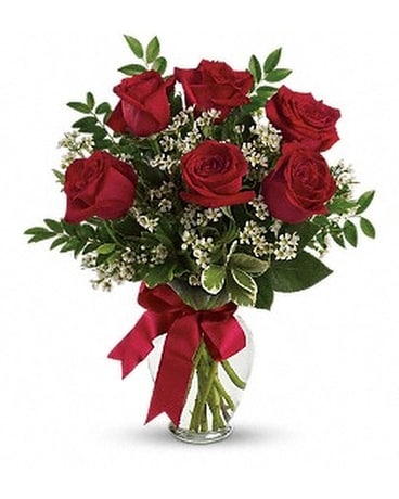 Half Dozen Long Stem Red Roses Flower Arrangement