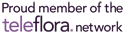 Teleflora Flowers Network